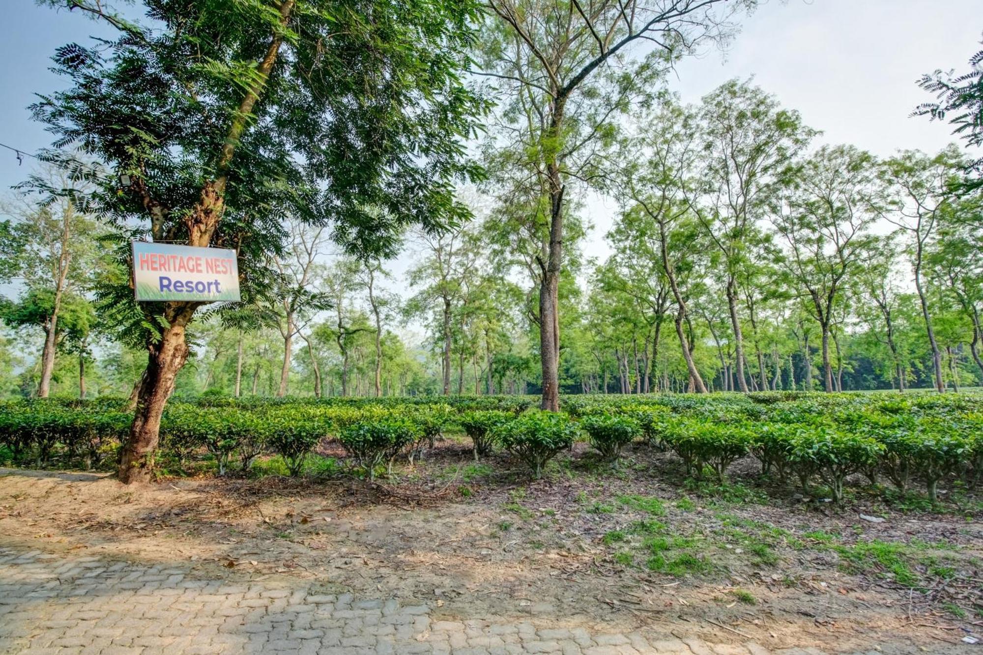 Hotel O Heritage Nest Resort Kazirnga Kāziranga Zewnętrze zdjęcie
